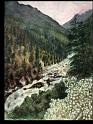 Mountain Stream